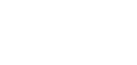 Neat N Tidy Logo